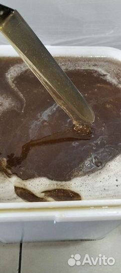 Мёд. Разнотравие. 2023г