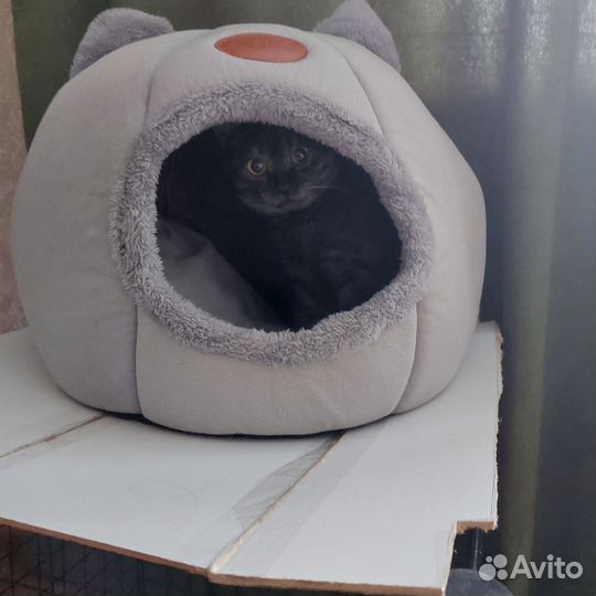 Домик для кошки мягкий б/у