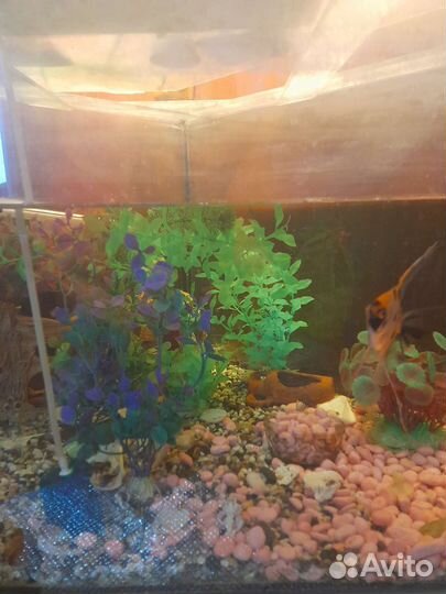 Аквариум