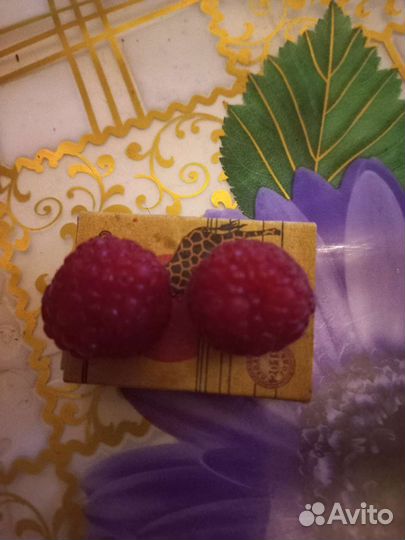 Саженцы малины мираж и гусар