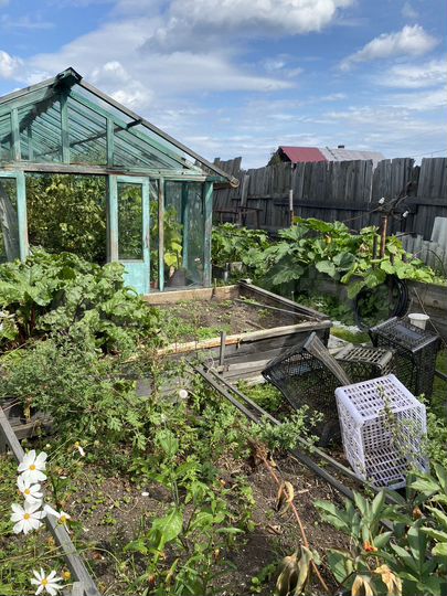 Участок 5 сот. (СНТ, ДНП)