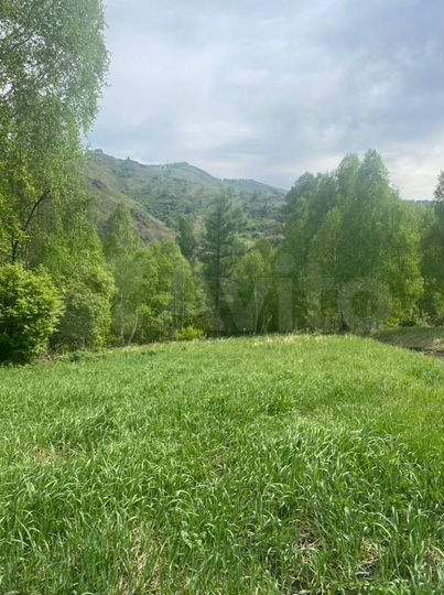 Участок 66 сот. (СНТ, ДНП)