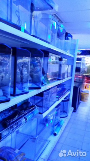 Водный-Мир.Аквариумы от 50-8000л