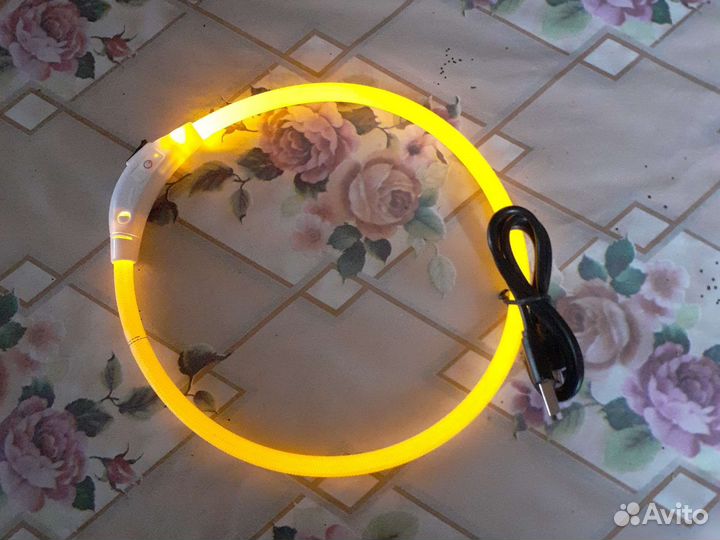 Одежда и аксессуары для собак