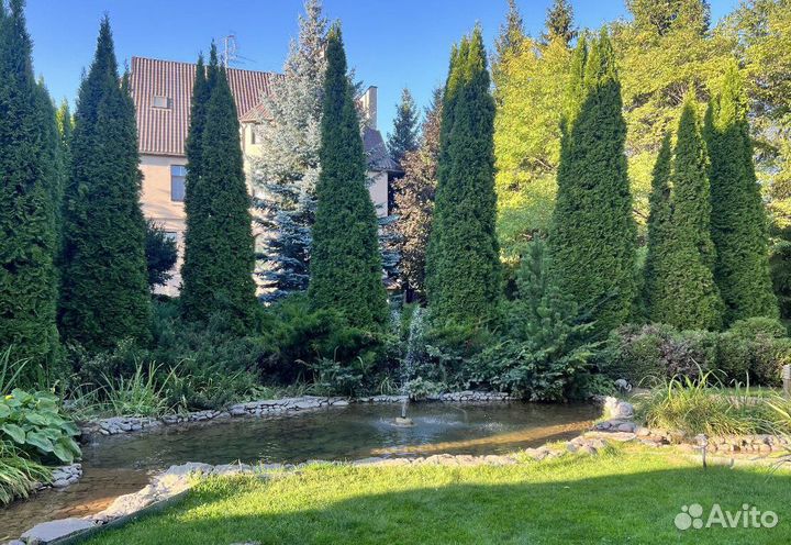 Туя Смарагд вип экстра с доставкой с полей