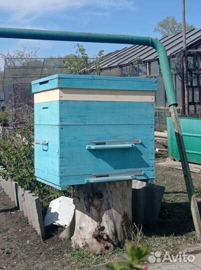 Продам сушь, дымарь, проволоку, улья, рамки