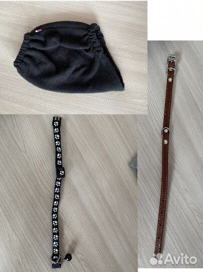 Шапка, ошейник для животных