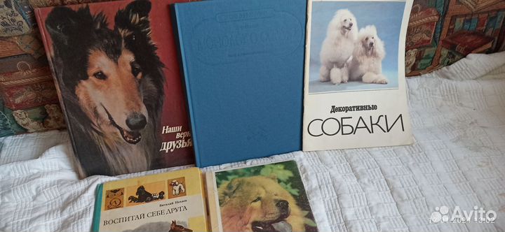 Книги о собаках
