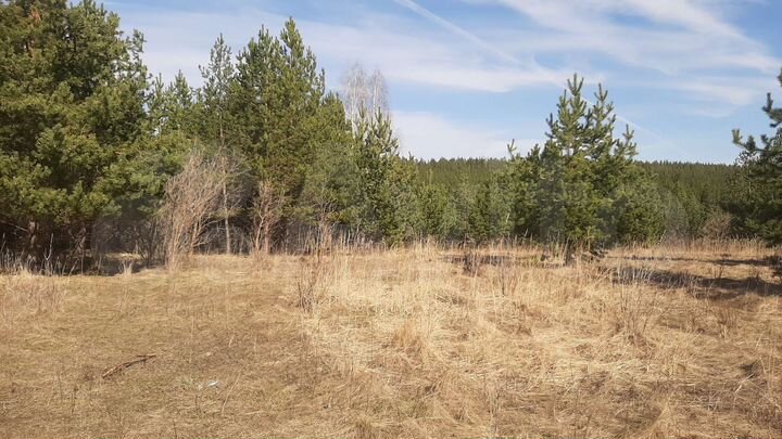 Участок 8 сот. (СНТ, ДНП)