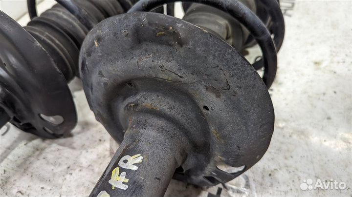 Стойка передняя левая Toyota Ch-R ZYX10 2zrfxe