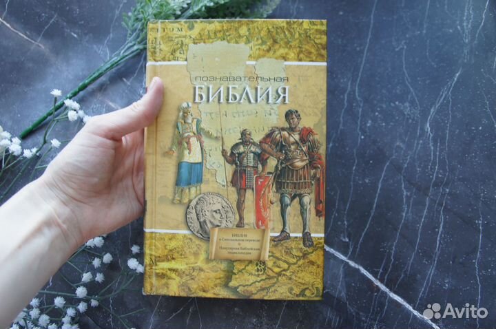 Познавательная Библия в Синодальном переводе