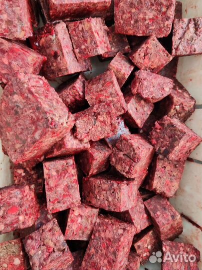 Корм для собак конина (кубиками, фарш,микс)