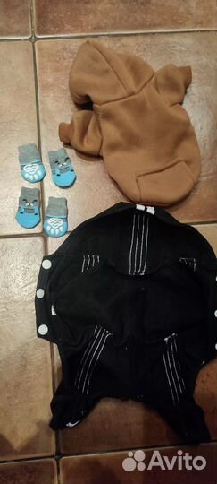 Одежда для маленьких собак