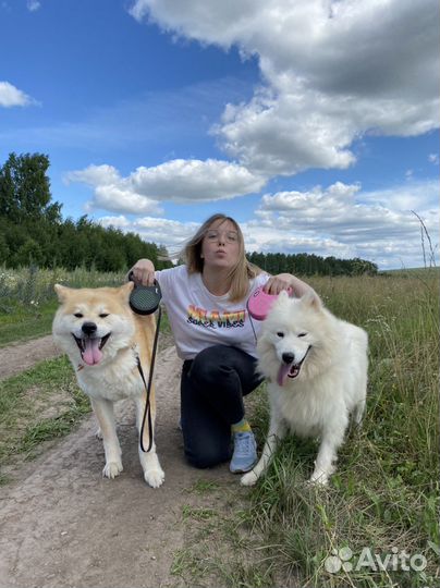 Зооняня, Догситтер, Передержка