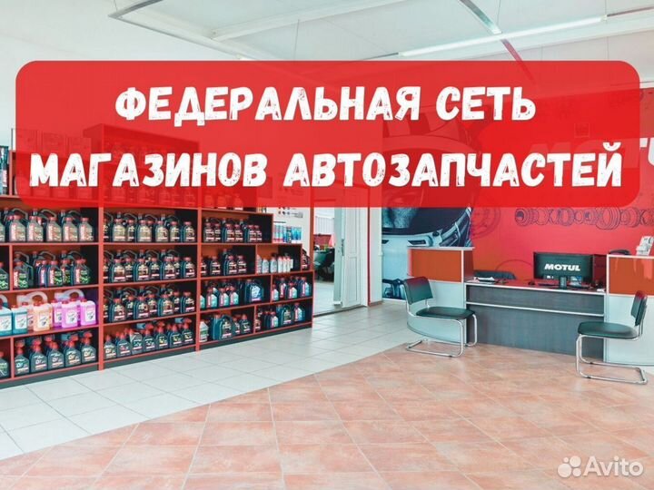 Успешная Франшиза 2023