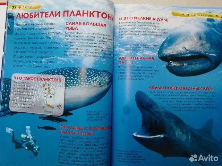 Детская энциклопедия 