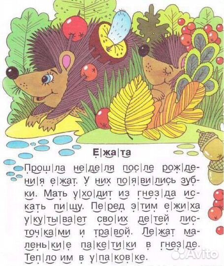 Репетитор по подготовке к школе