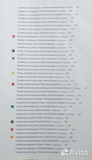 Фауна мира. Птицы