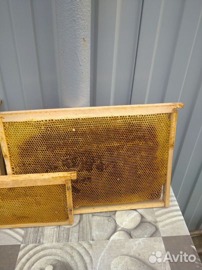 Рамки с сушью