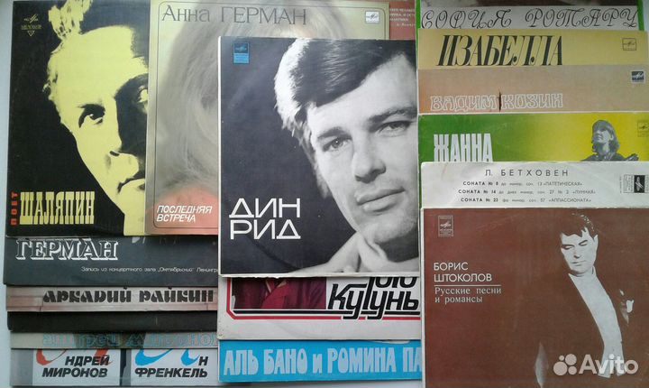 Виниловые пластинки
