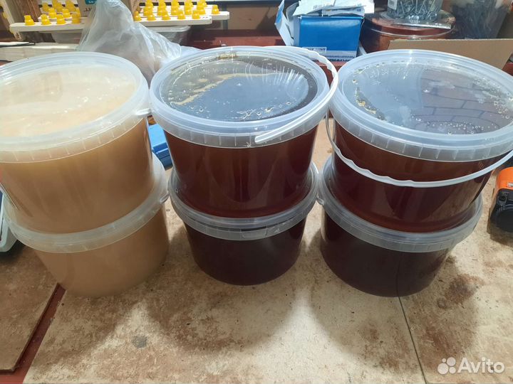 Мед гречишный