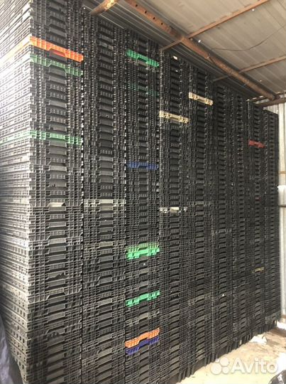 Евролоток, лоток хлебный, ящик хлебный.ящик пласти