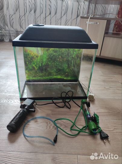 Аквариум 20 литров