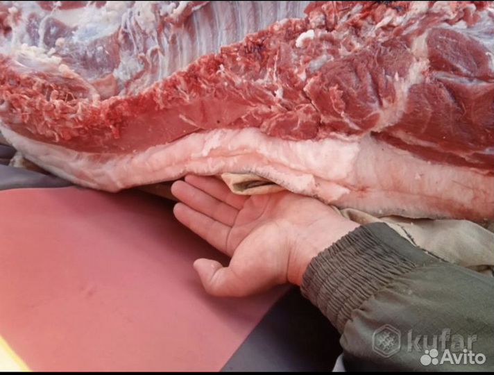 Домашнее мясо свинины