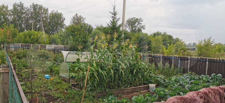 Дом 56 м² на участке 25 сот.