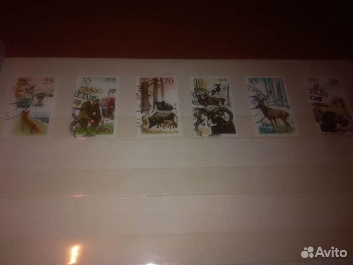 Марки-Фауна