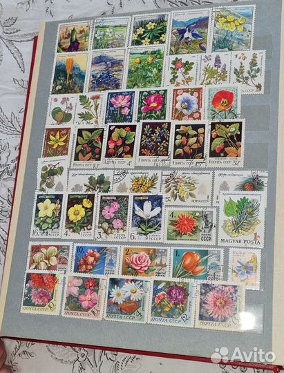 Почтовые марки СССР альбом