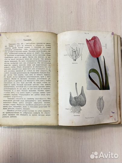 Книга антикварная Естествоведение 1912 год