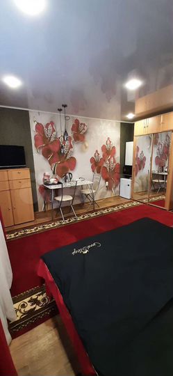 Квартира-студия, 18,5 м², 4/4 эт.