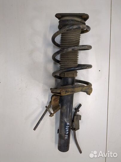 Амортизатор подвески Ford Focus 2, 2010