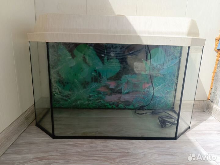 Аквариум 60л