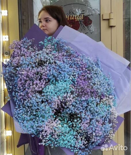 Радужная гипсофила гиганты