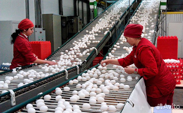 Разнорабочий на птицефабрике вахта