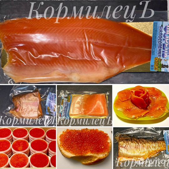 Форель охлажденная непотрошенная из Карелии