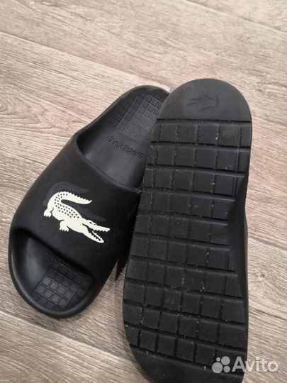 Шлепанцы lacoste