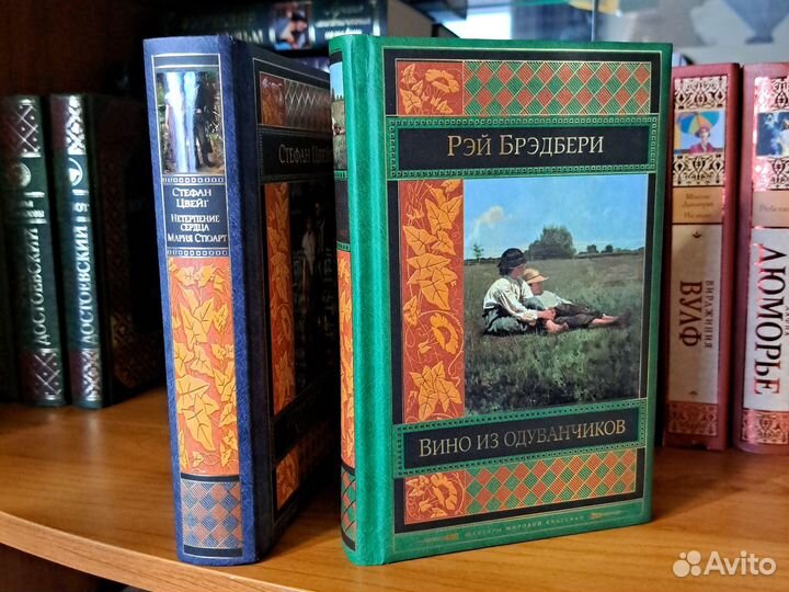 Книги Достоевский, Цвейг, Брэдбери