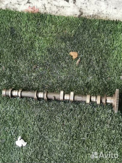 Распредвал выпускной Nissan