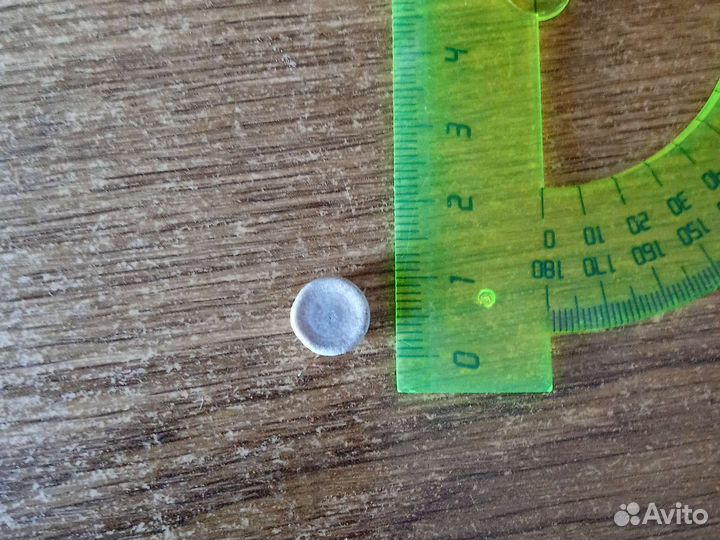 Окаменелый рыбий позвонок