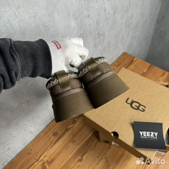 Женские Тапочки Ugg Tazz New Hickory