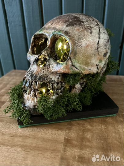 Череп во мху