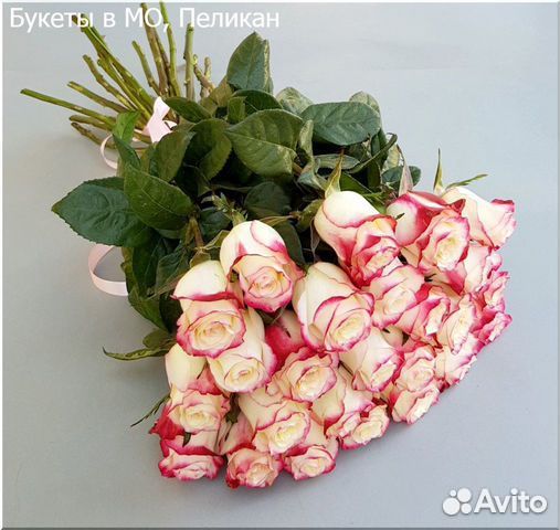 Цветы розы