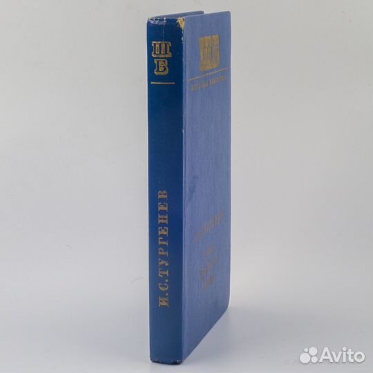 И. С. Тургенев 