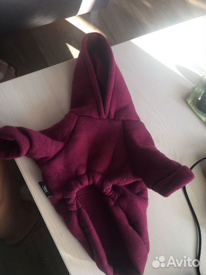 Толстовка для кошки или маленькой собачки