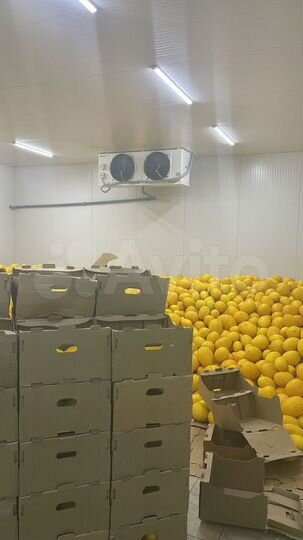 Склад, 1000 м²