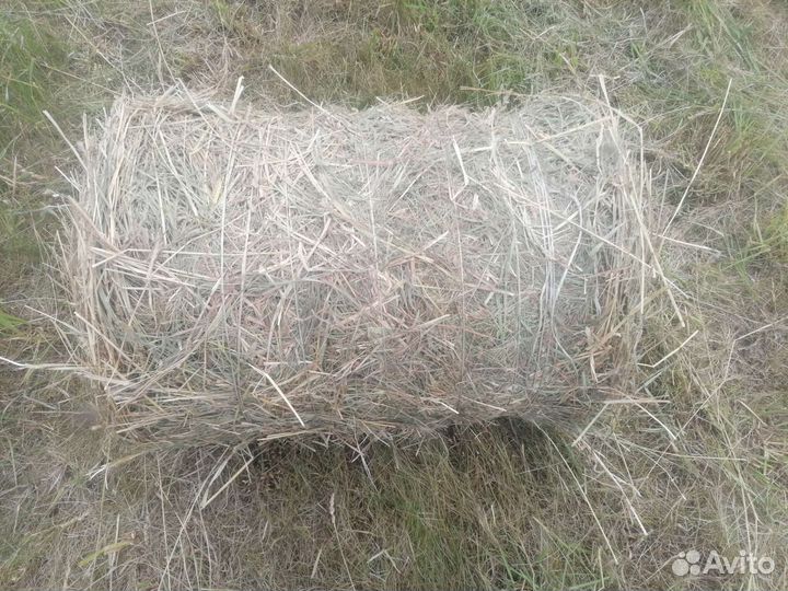 Сено в мини рулонах