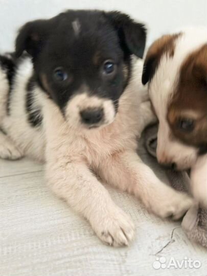 Забери меня домой